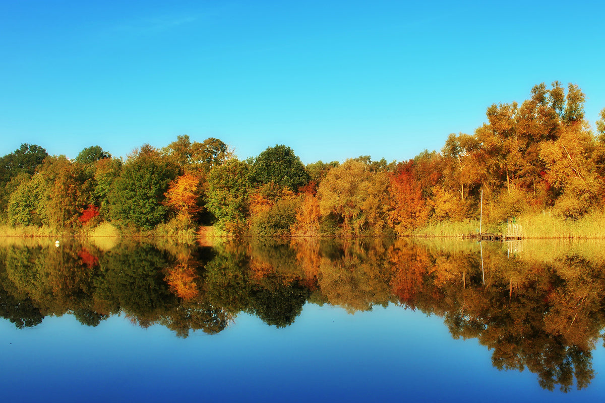 aluminium-print-autumn-reflections