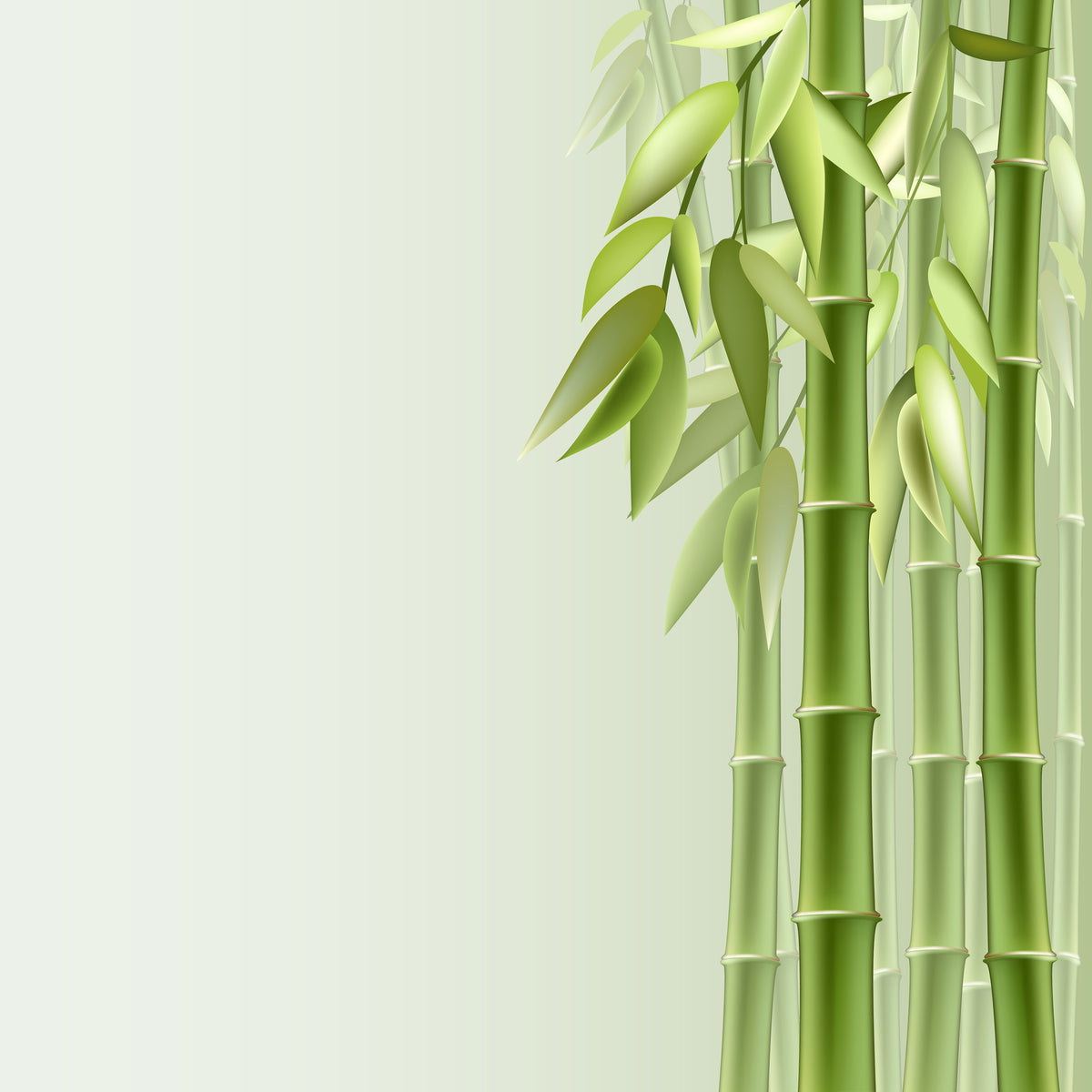 4-piece-aluminium-print-green-bamboo