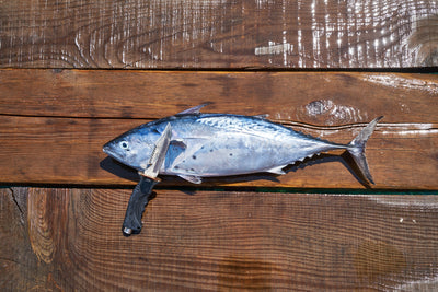 poster-print-the-fresh-fish