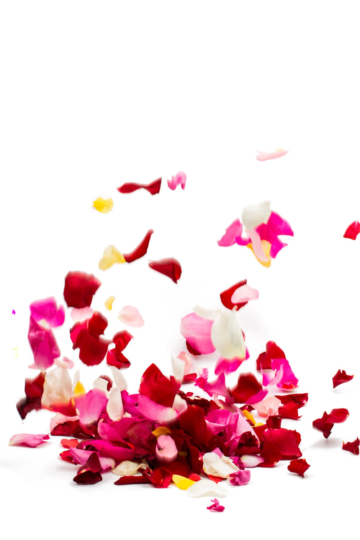 framedposter-print-bed-of-rose-foliage
