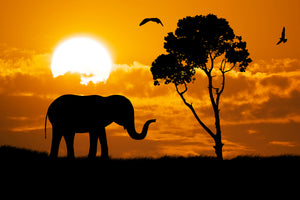 modern-3-piece-canvas-print-dreamy-africa