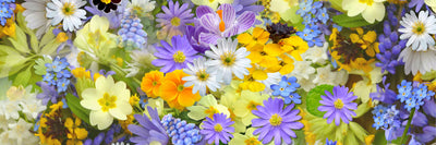 panoramic-poster-print-fresh-spring-flowers-panorama