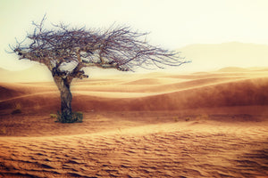 aluminium-print-desert-storm