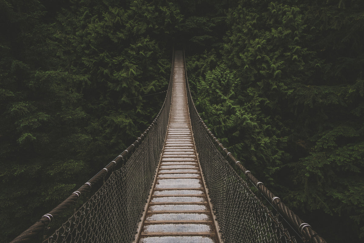 canvas-print-exciting-bridge
