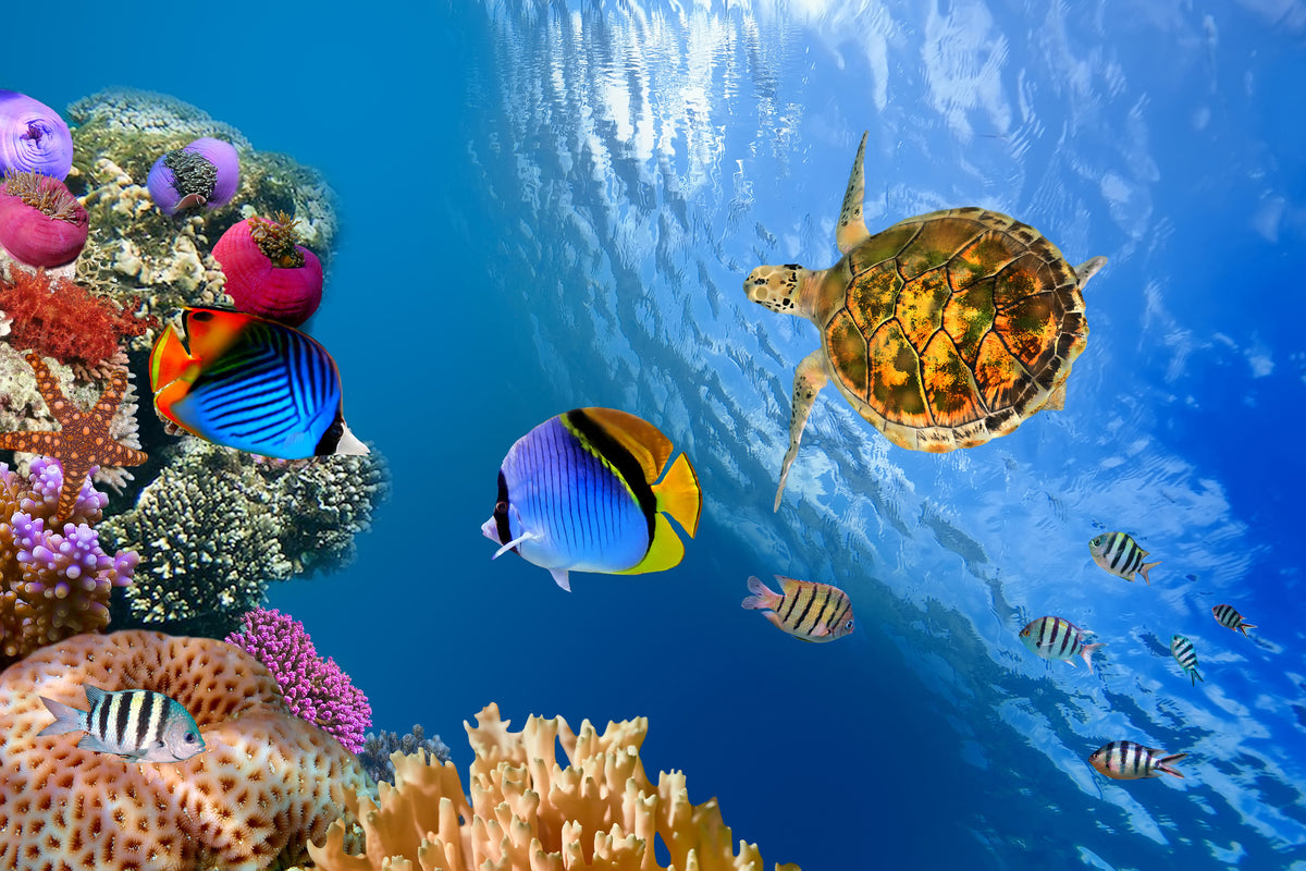 3-piece-acrylic-print-fish-in-the-water