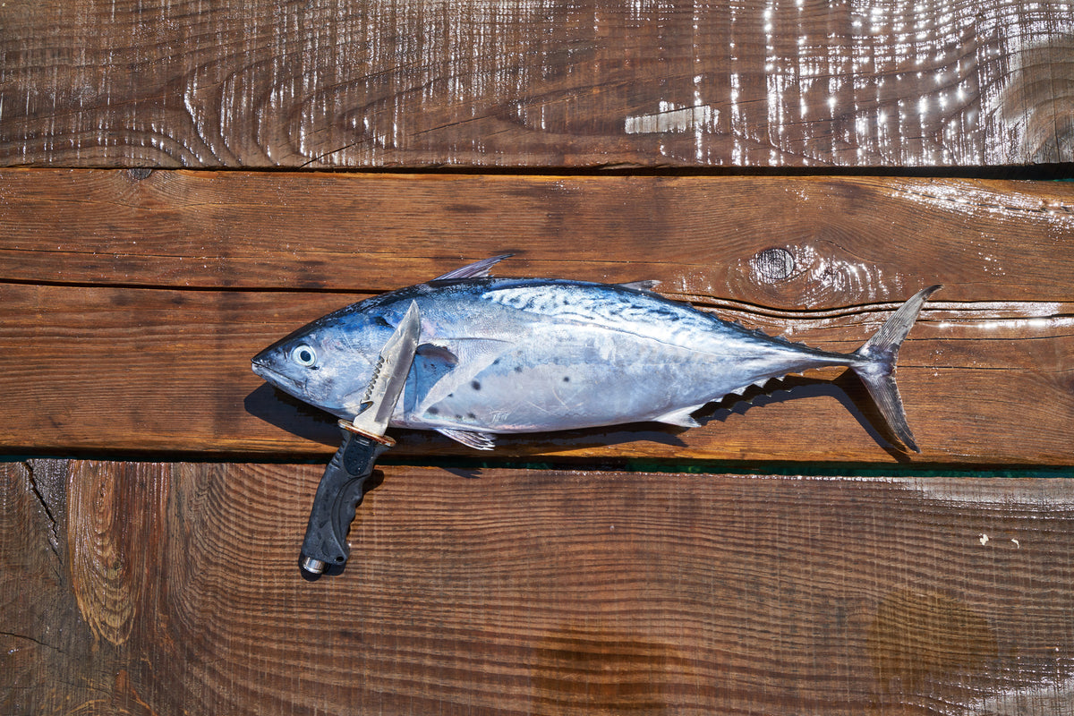 3-piece-acrylic-print-the-fresh-fish