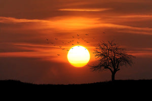 poster-print-the-sunset-on-the-horizon