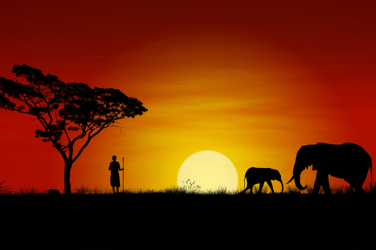 3-piece-canvas-print-african-steppe-elephant