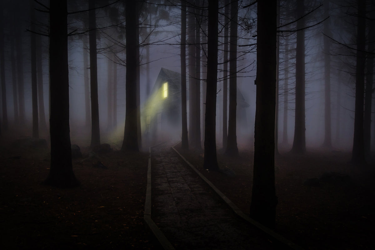 framedcanvas-print-fog-in-the-forest