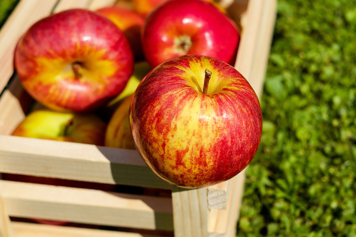 3-piece-aluminium-print-box-of-apples