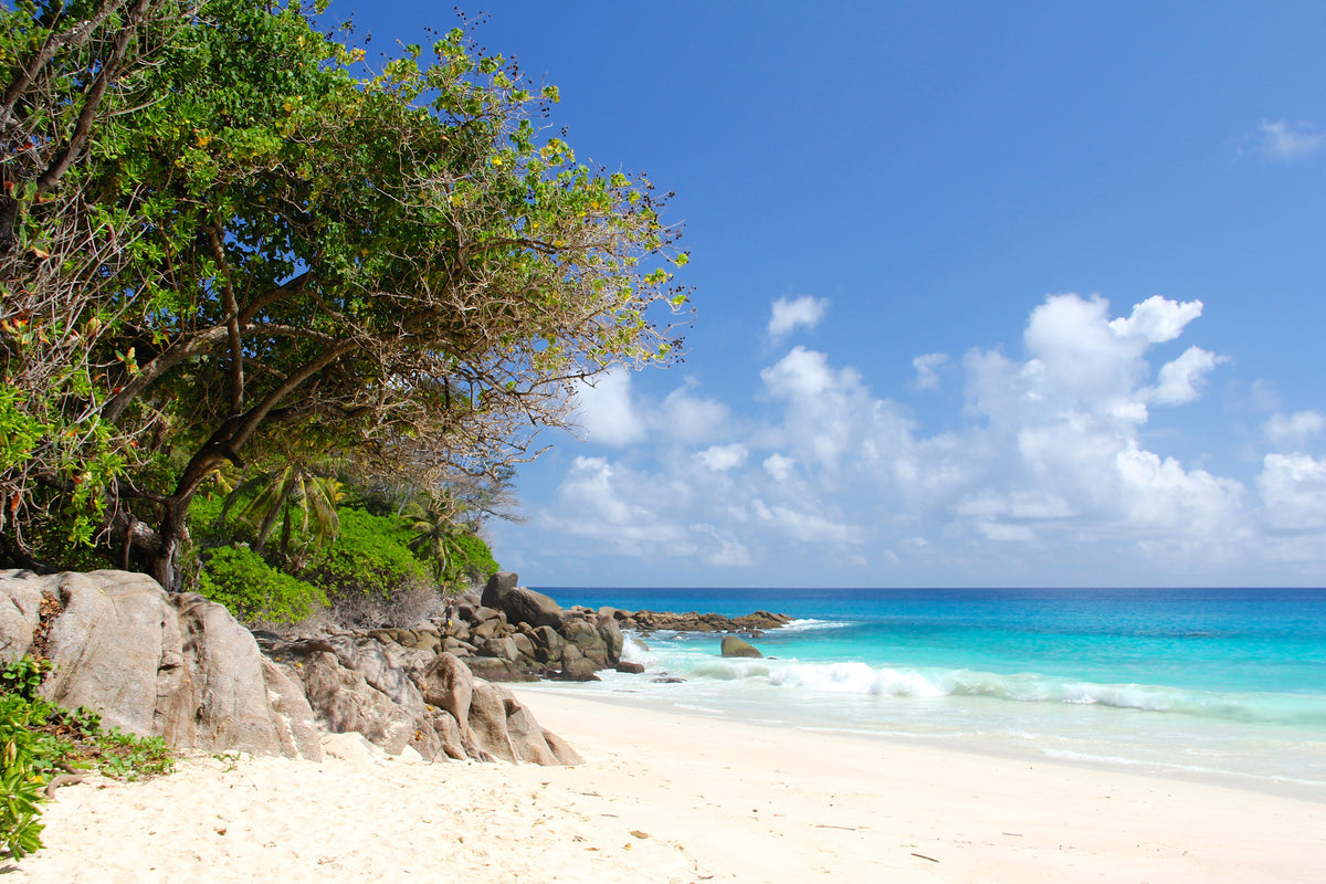 3-piece-canvas-print-dream-beach-seychelles