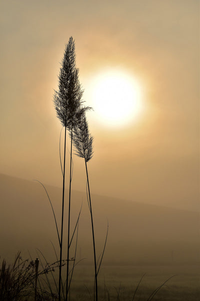 poster-print-atmospheric
