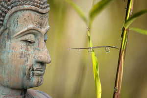 aluminium-print-xl-buddha-head