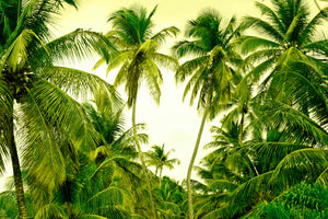 canvas-print-mural-ready-for-a-vacation