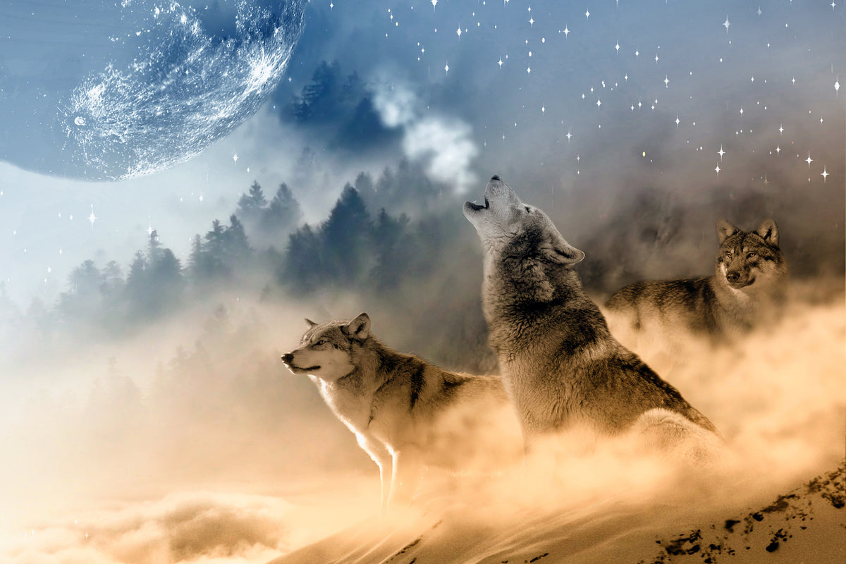 acrylic-print-the-world-of-wolves