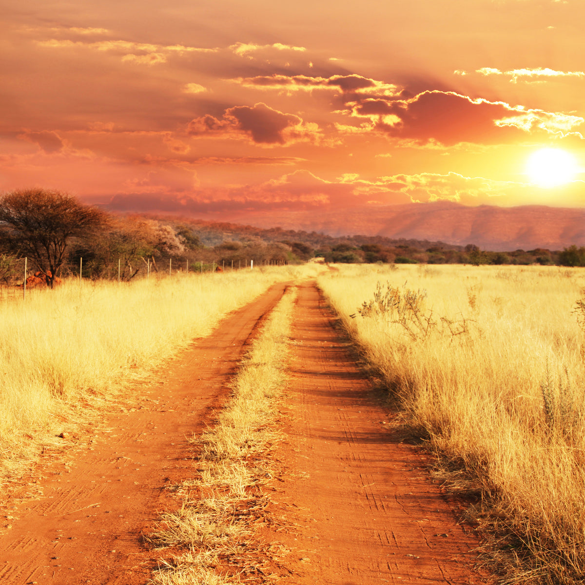 4-piece-aluminium-print-dusk-in-kenya