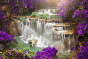 canvas-print-photowallpaper-garden-eden