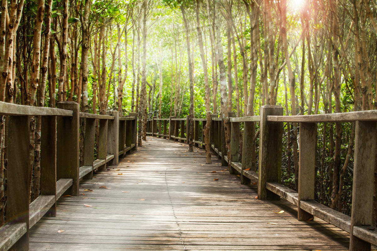 acrylic-print-wooden-bridge