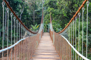 framedcanvas-print-bridge-for-the-brave
