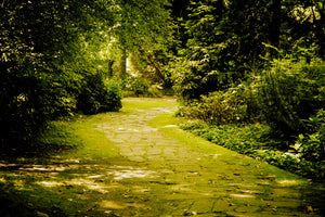 3-piece-acrylic-print-moss-covered-path