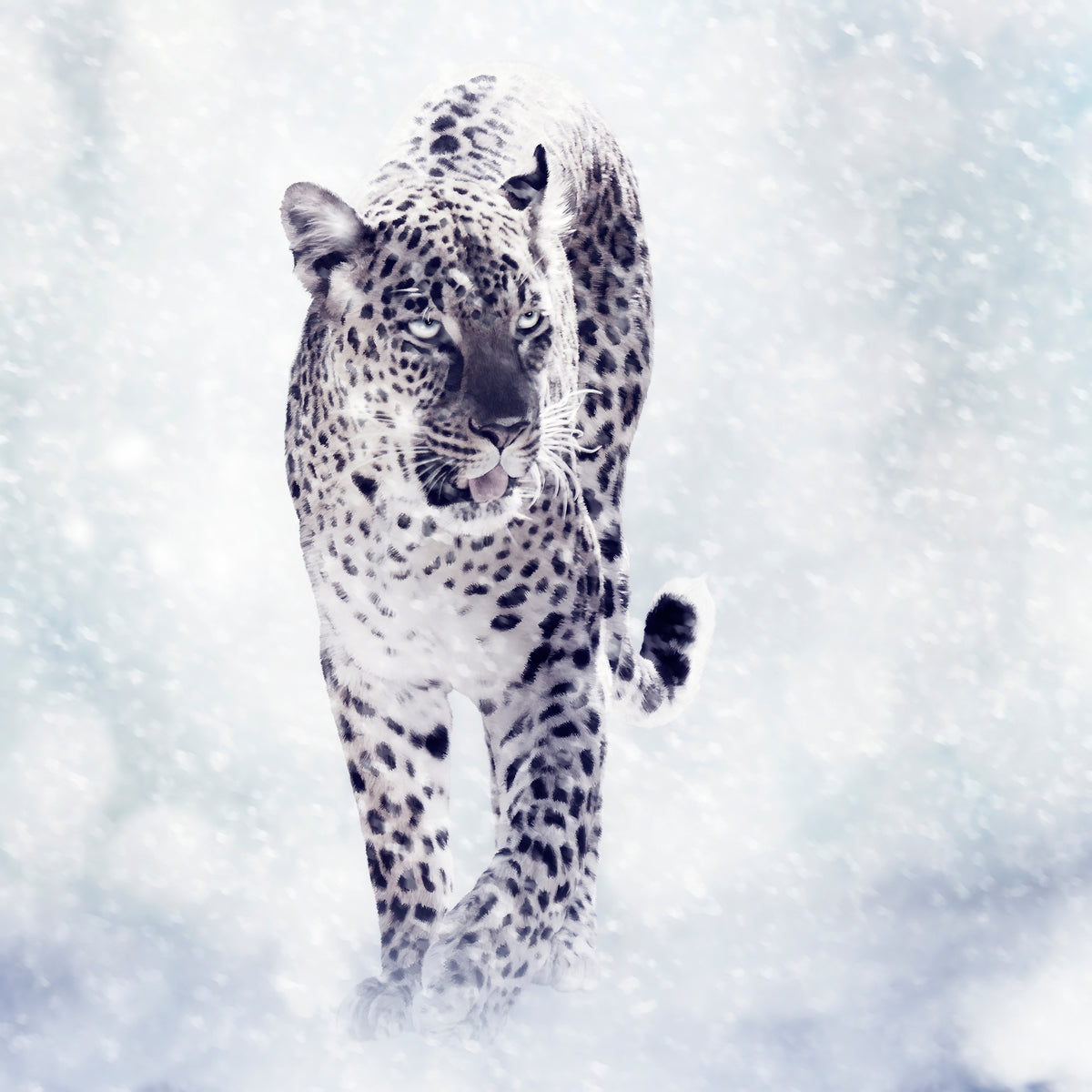 acrylic-print-photo-wallaper-the-leopard