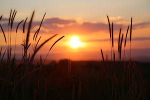 3-piece-acrylic-print-adorable-sunset