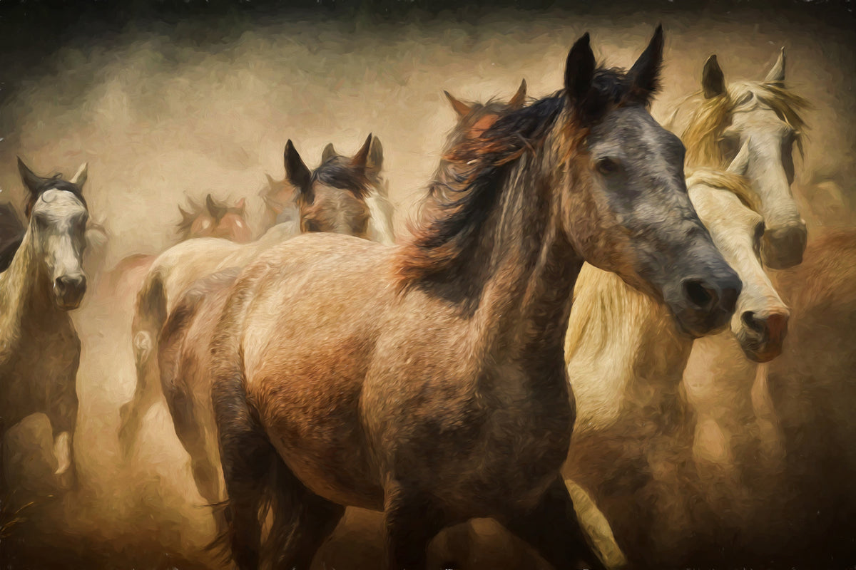 framedposter-print-painting-wild-horses