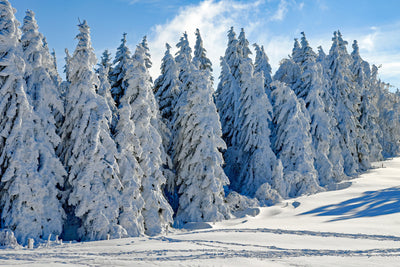 poster-print-beautiful-winter-landscape