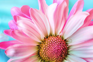 3-piece-acrylic-print-colored-flower