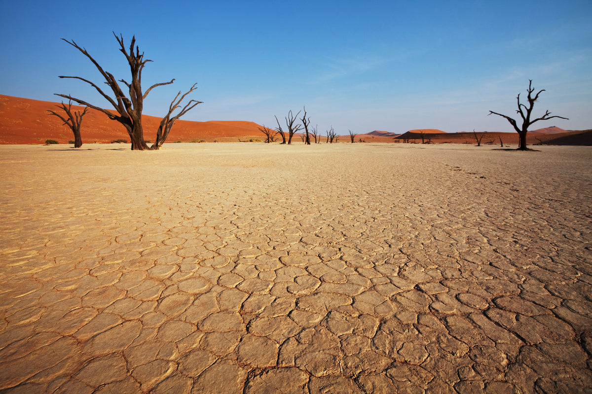 aluminium-print-desert