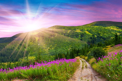 poster-print-a-summer-landscape-at-sunrise