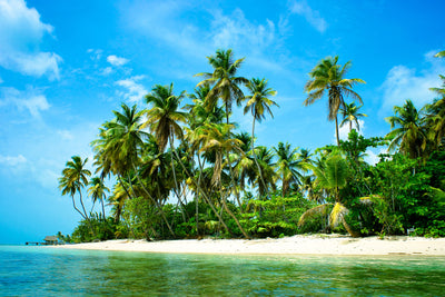 poster-print-ready-for-holiday-island