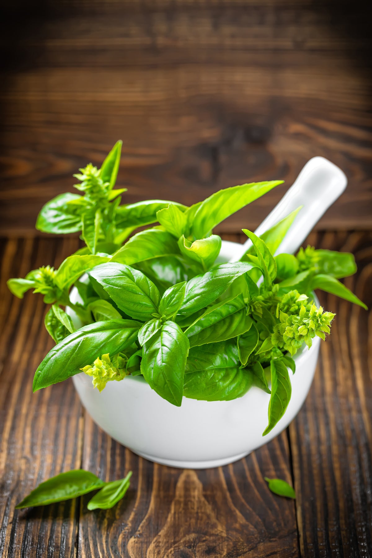 canvas-print-fresh-basil