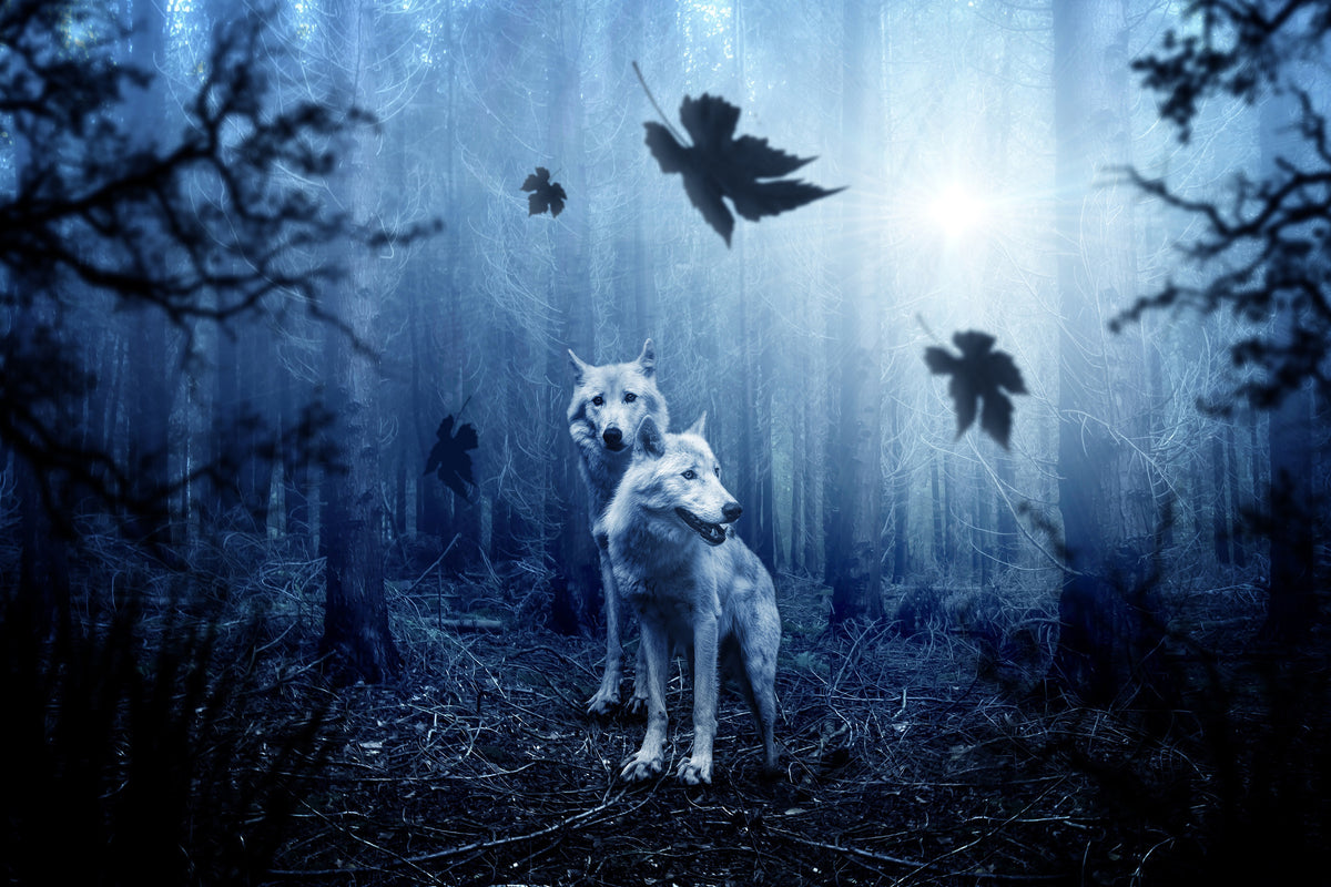 acrylic-print-wolf39s-couple