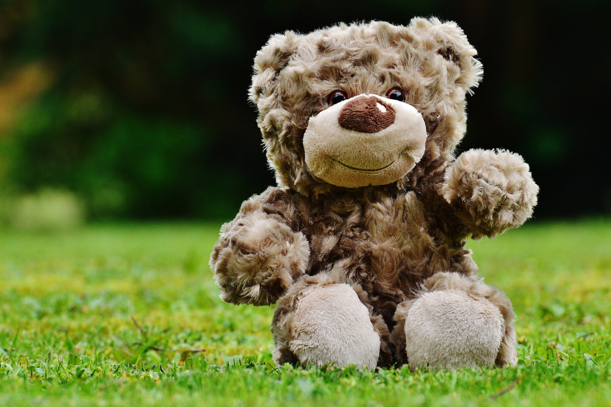 poster-print-happy-teddy-bear
