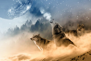 3-piece-canvas-print-the-world-of-wolves