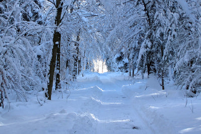 poster-print-finally-winter