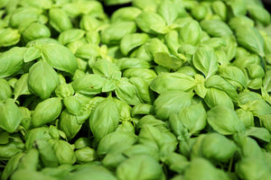 3-piece-acrylic-print-all-basil