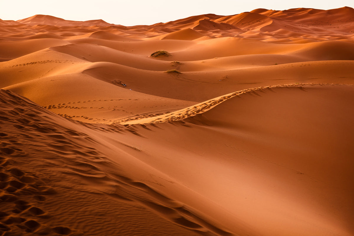 framedposter-print-traces-in-the-desert