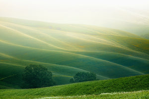modern-3-piece-aluminium-print-tuscany