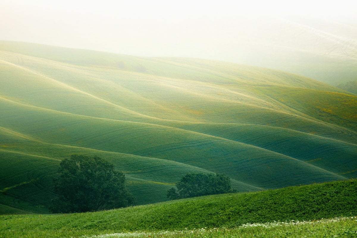 modern-3-piece-aluminium-print-tuscany