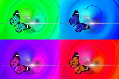 poster-print-pop-art-colorful-butterfly