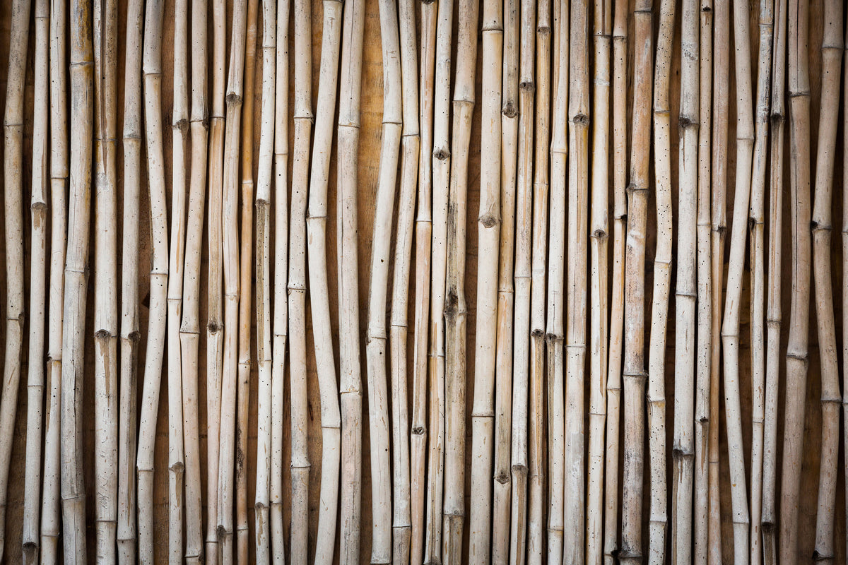 3-piece-canvas-print-dried-bamboos