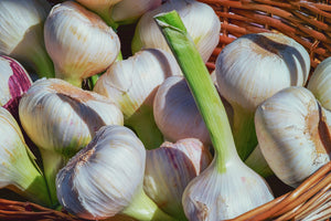 modern-3-piece-canvas-print-fresh-garlic