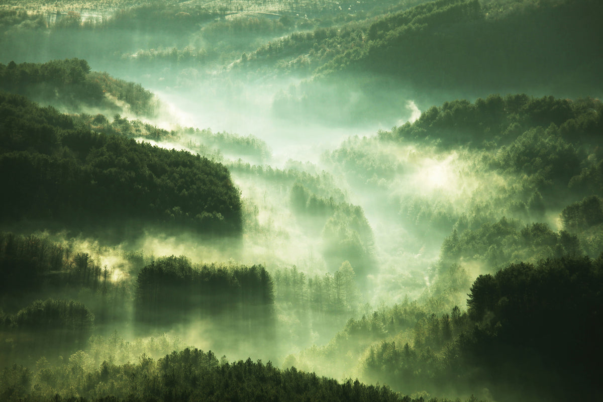 framedcanvas-print-over-the-woods