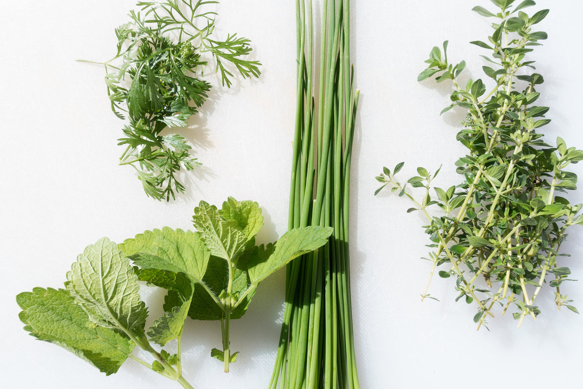 canvas-print-fresh-herbs