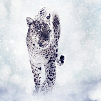 9-piece-canvas-print-photo-wallaper-the-leopard