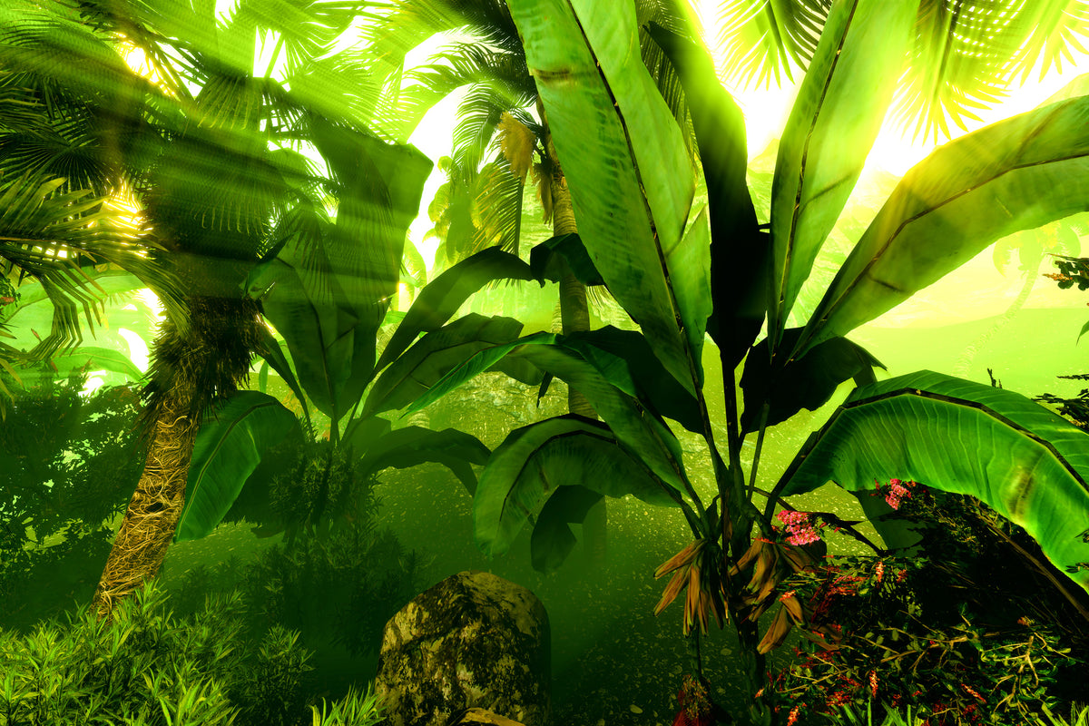 3-piece-aluminium-print-sunrise-in-the-rainforest