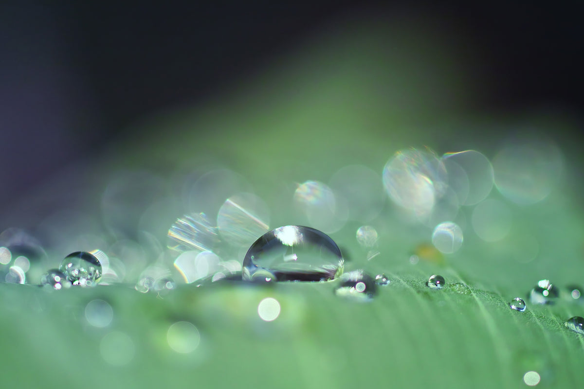 framedcanvas-print-drops-of-water-in-xxl