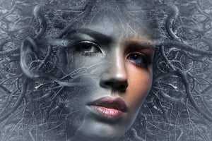poster-print-fantasy-face